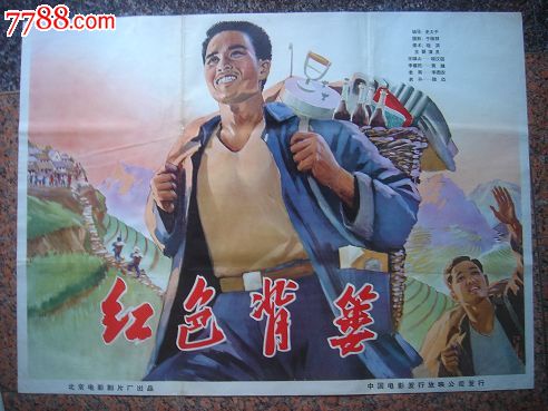 冰岛驾照作假
